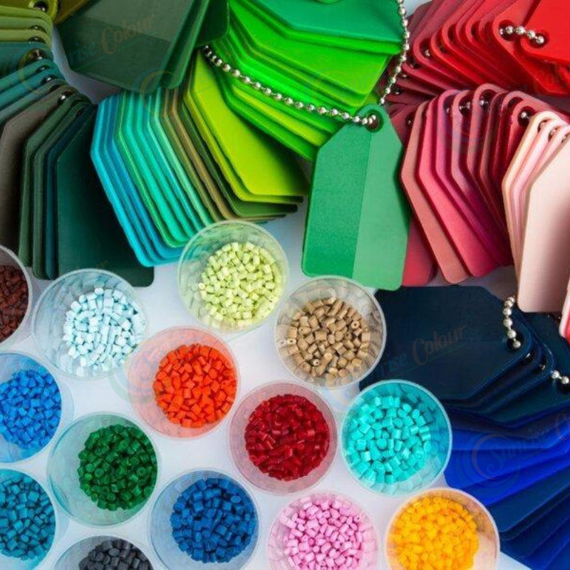 Ảnh trong bài (4)